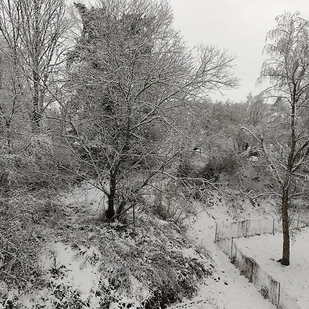Gite Les Eylauds Pionsat Esterno foto