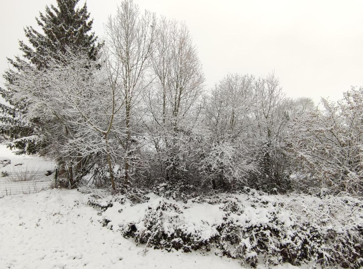 Gite Les Eylauds Pionsat Esterno foto